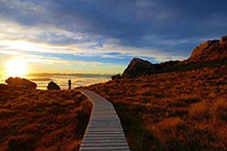 11th Great Walk for New Zealand