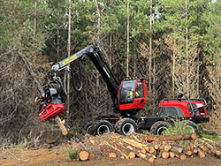 Branching into softwood harvesting