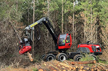 Branching into softwood harvesting