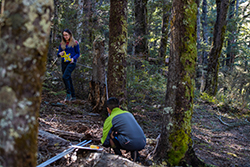 Helping track alpine ecosystems’ fire recovery