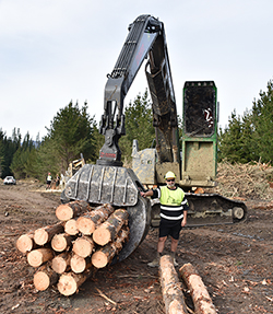 Solid build, light work