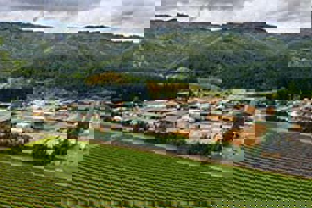 Capital boost for Kaituna Sawmill