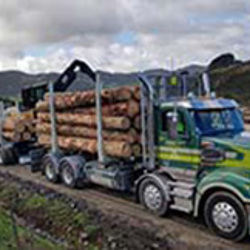 Immigration pathway for drivers welcomed