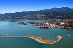 Log exports contribute to port’s results