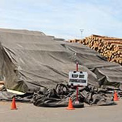 Methyl bromide out by 2033