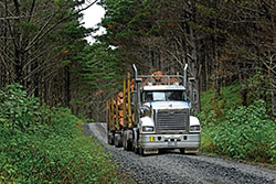 Land transport review will cut red tape, says NRC