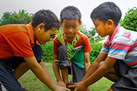One Billion Trees funds memorial tree planting