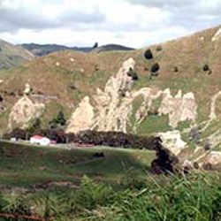 Controlling hill country erosion with tree planting