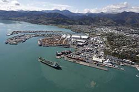 Port Nelson delivers despite challenging year