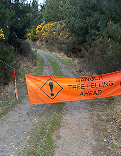 Reasons forest road closures are ignored