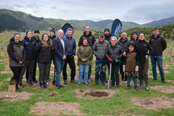 Recloaking the Wellington region