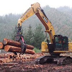Smooth power in a tough forest