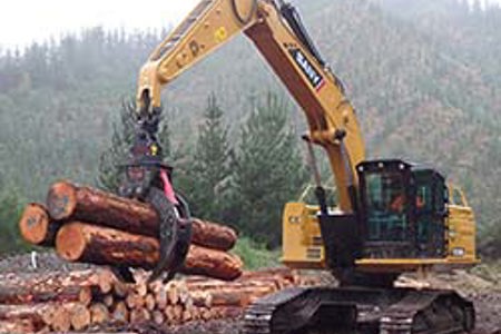 Smooth power in a tough forest