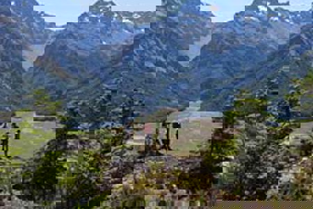 Stewardship land to be reclassified