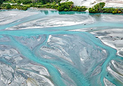 NZ sites chosen for global forest research