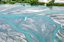 NZ sites chosen for global forest research