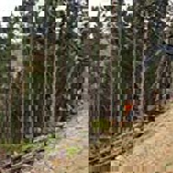 Maximising the benefits of mechanisation