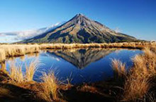 Forestry still under pressure as Taranaki sees the light