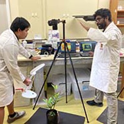 New tools to fight Myrtle Rust