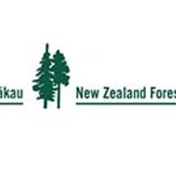 Forestry scholarship applications open 