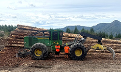 The humble skidder