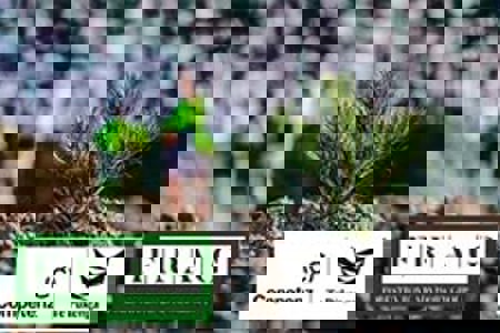 Forestry Apprenticeship underway