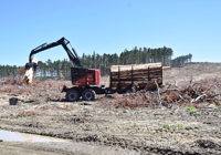 Iron Test February 2026