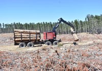 Iron Test February 2026