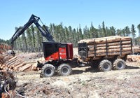 Iron Test February 2026