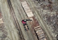 Iron Test February 2026