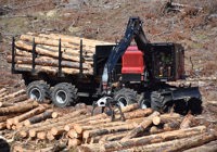 Iron Test February 2026