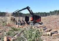 Iron Test February 2026