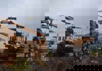 Iron Test June 2025