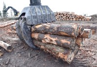 Iron Test November 2025