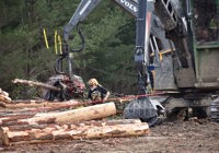 Iron Test November 2025