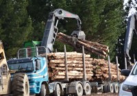 Iron Test November 2025